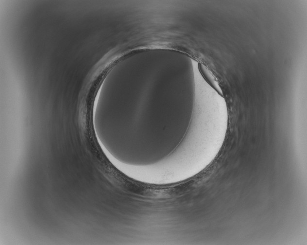 X0000111020295200907310937