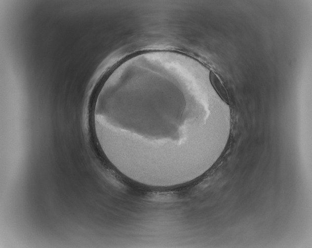 X0000111020296200907310937
