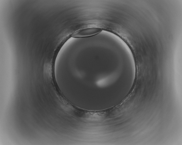 X0000111020297200907310937