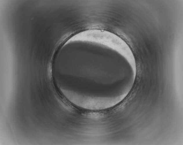 X0000111020298200907310937