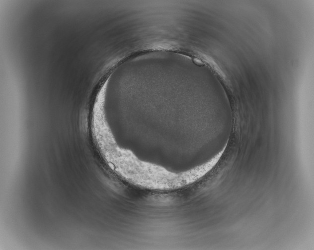 X0000111020299200907310937