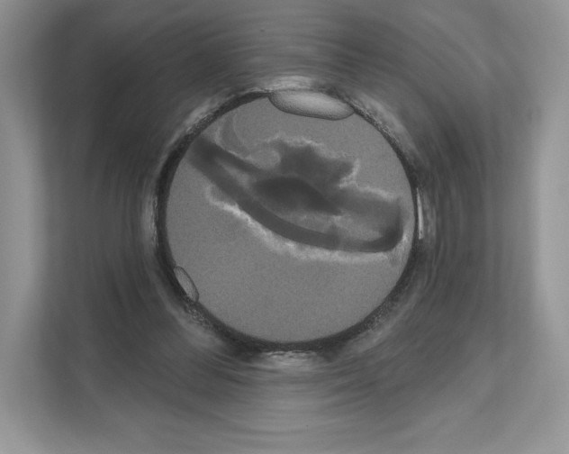 X0000111020300200907310937