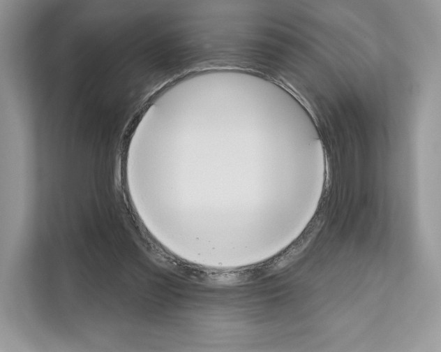 X0000111020301200907310937