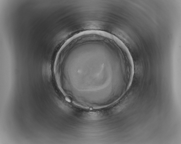 X0000111020302200907310937