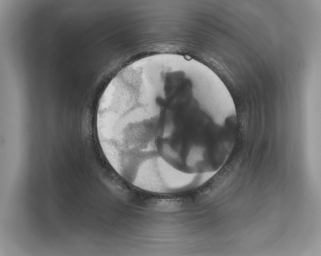 X0000111020303200907310937