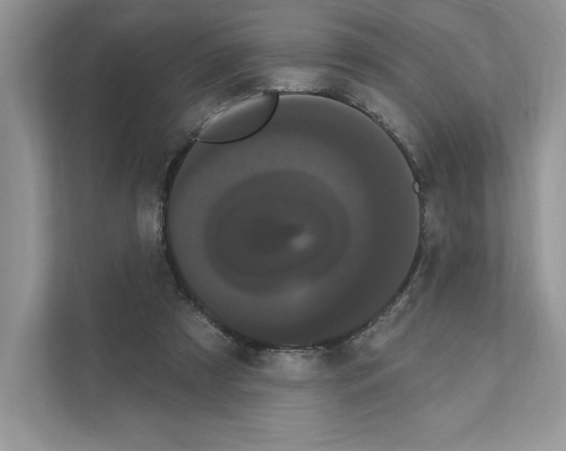 X0000111020305200907310937