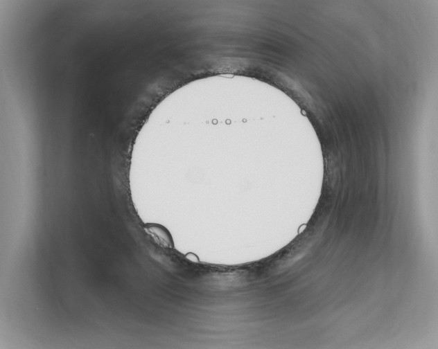 X0000111020307200907310937