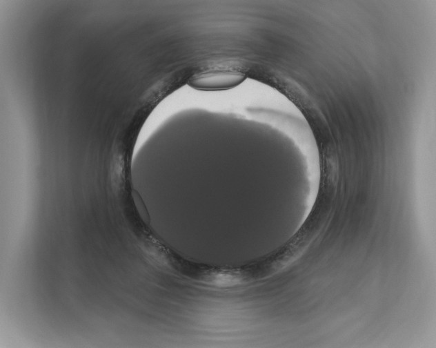 X0000111020308200907310937