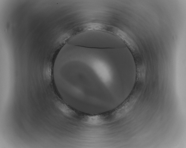 X0000111020309200907310937