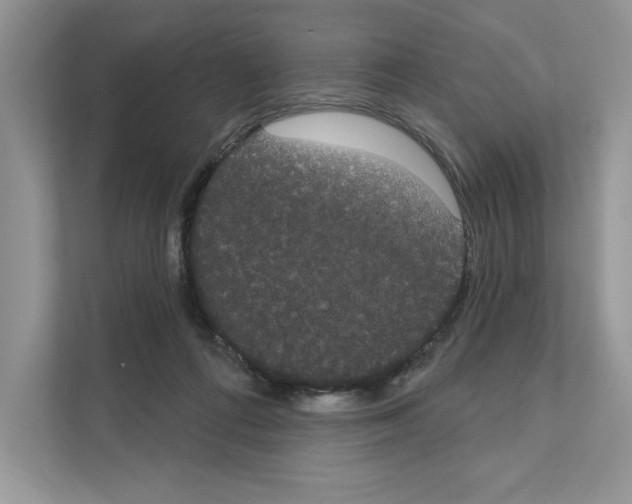 X0000111020312200907310937