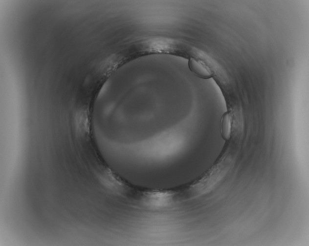 X0000111020313200907310937