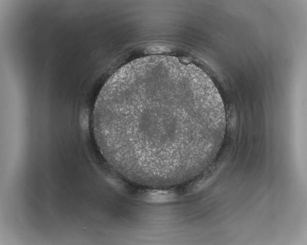 X0000111020315200907310937