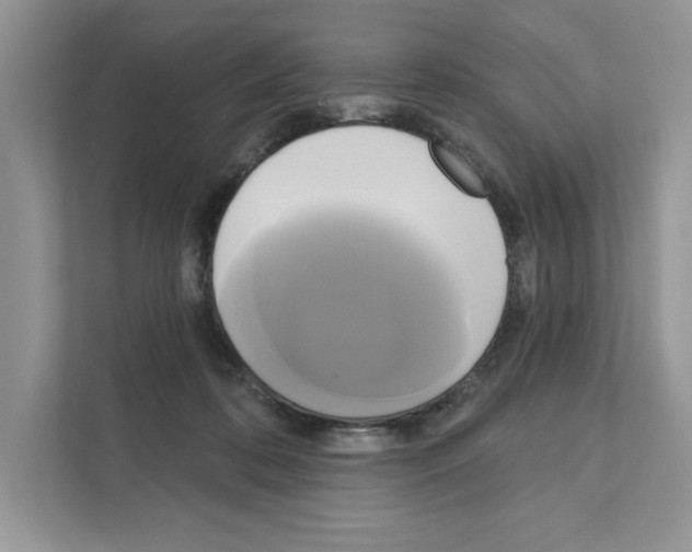 X0000111020316200907310937