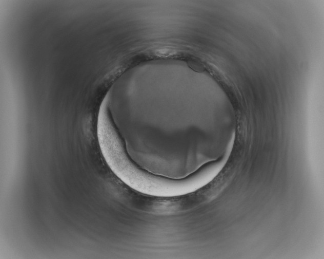 X0000111020319200907310937