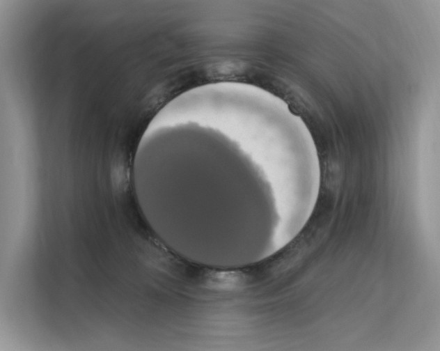 X0000111020324200907310937