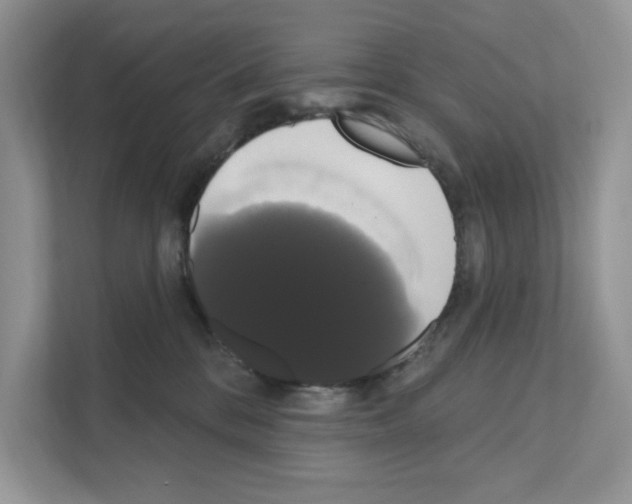 X0000111020328200907310937