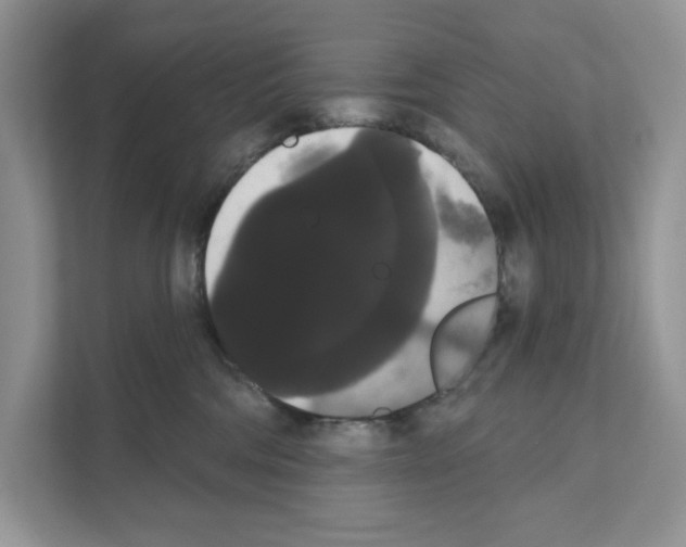 X0000111020330200907310937