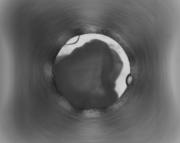 X0000111020331200907310937