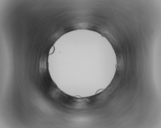 X0000111020334200907310937