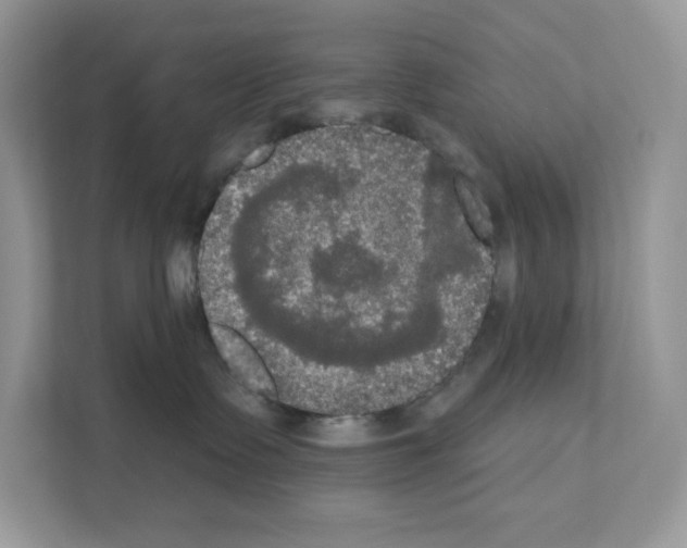 X0000111020335200907310937