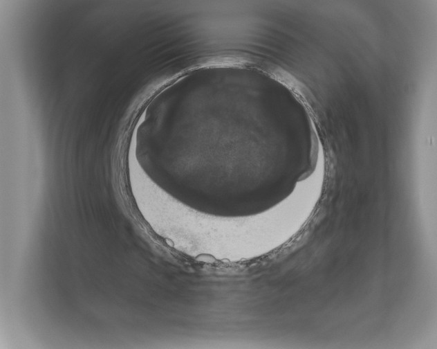 X0000111020337200907310936
