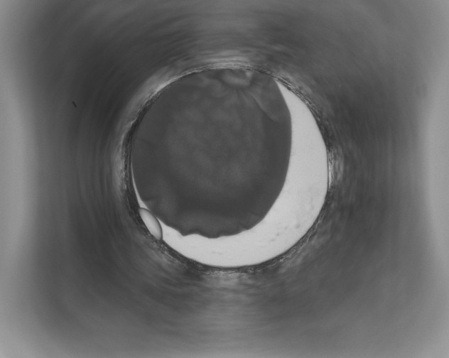 X0000111020339200907310936
