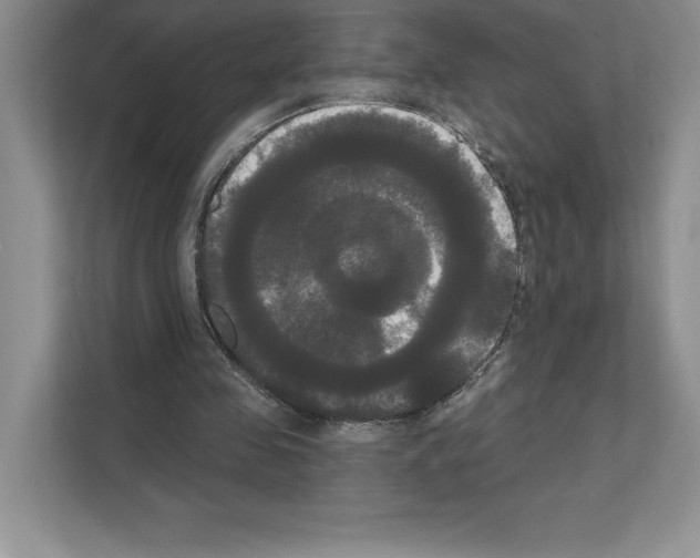 X0000111020341200907310936
