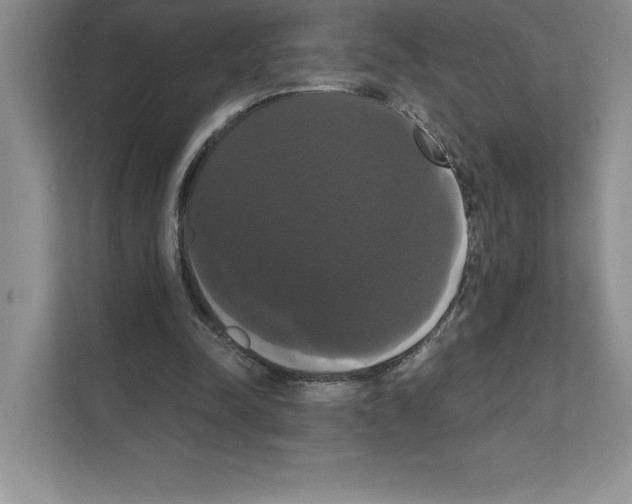 X0000111020342200907310936