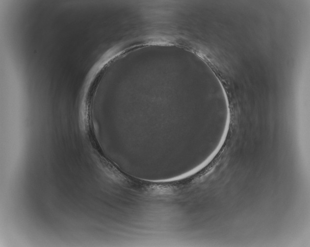 X0000111020343200907310936