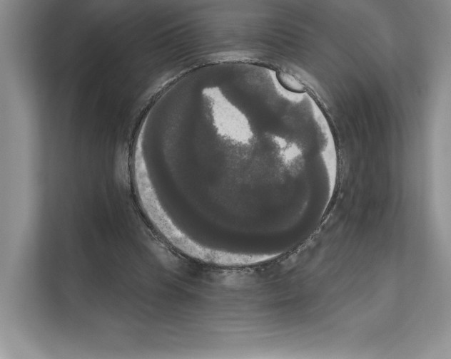 X0000111020345200907310936