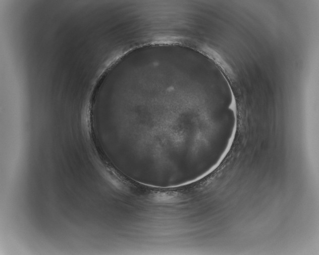 X0000111020346200907310936