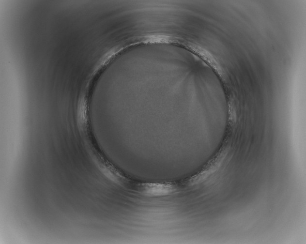 X0000111020347200907310936