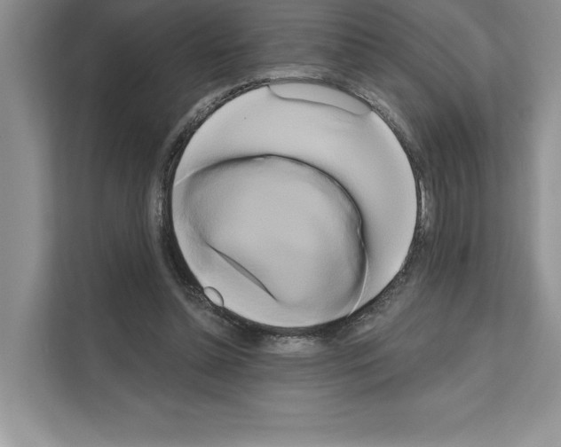 X0000111020348200907310936