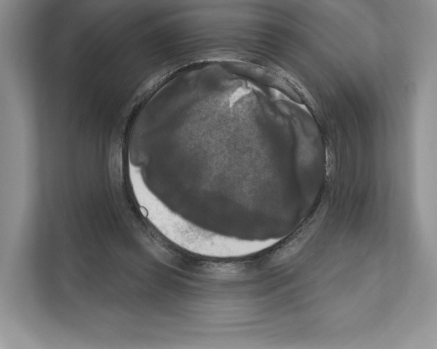 X0000111020349200907310936