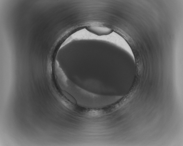 X0000111020350200907310936