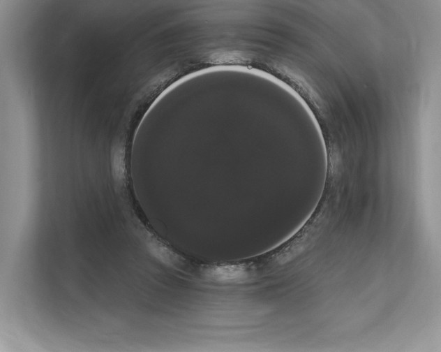 X0000111020353200907310936