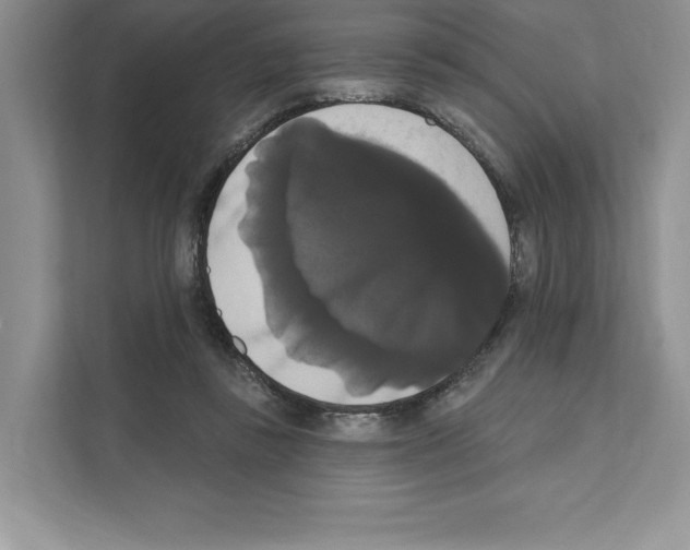 X0000111020355200907310936