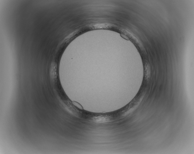 X0000111020356200907310936