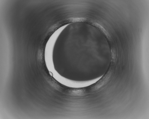 X0000111020357200907310936