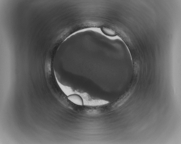 X0000111020358200907310936