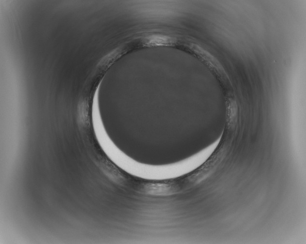 X0000111020361200907310936