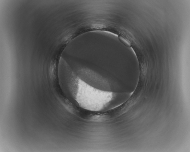 X0000111020364200907310936