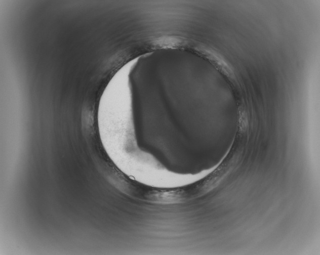 X0000111020365200907310936