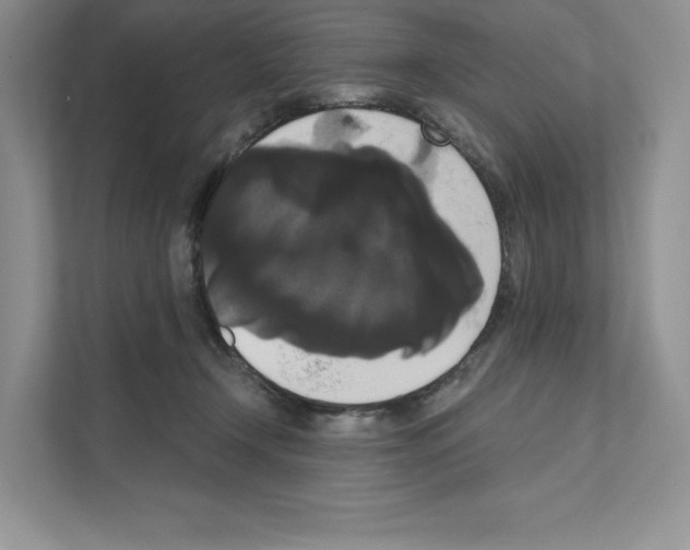 X0000111020366200907310936