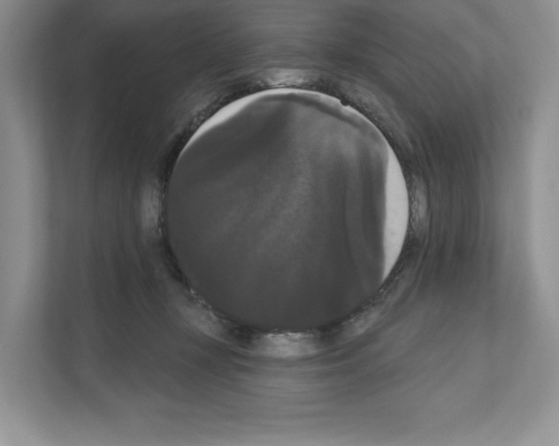X0000111020367200907310936