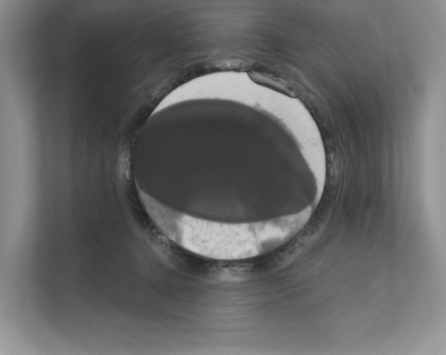 X0000111020368200907310936