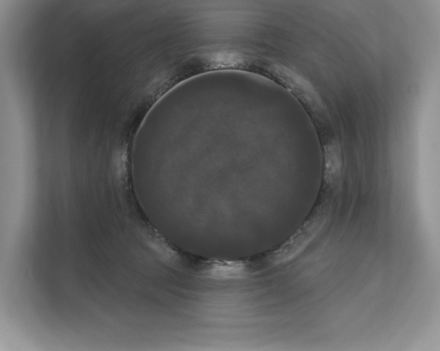 X0000111020369200907310936