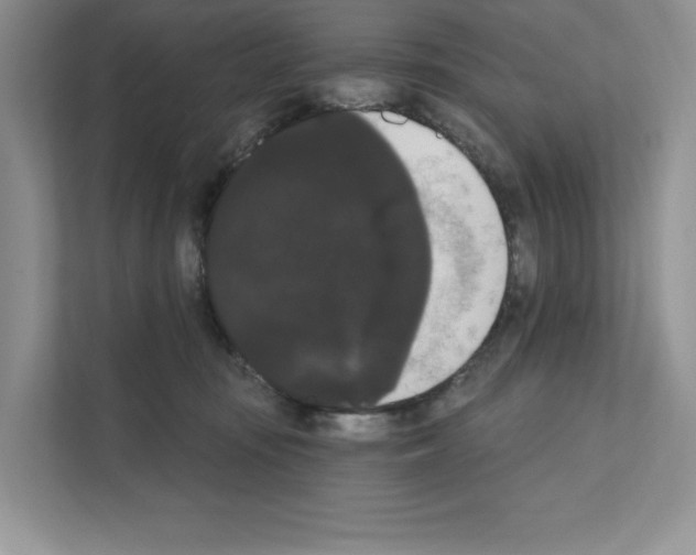 X0000111020371200907310936