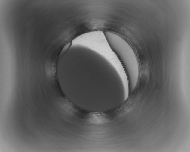 X0000111020372200907310936