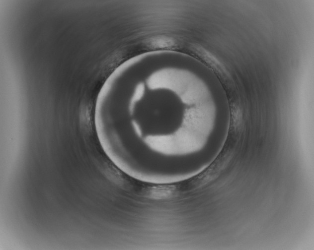X0000111020373200907310936